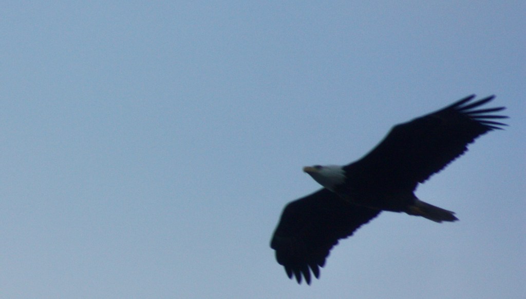 Winter is here…sort&nbsp;of