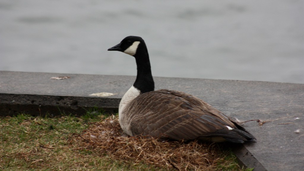 The Calm After the Storm Before the&nbsp;Storm