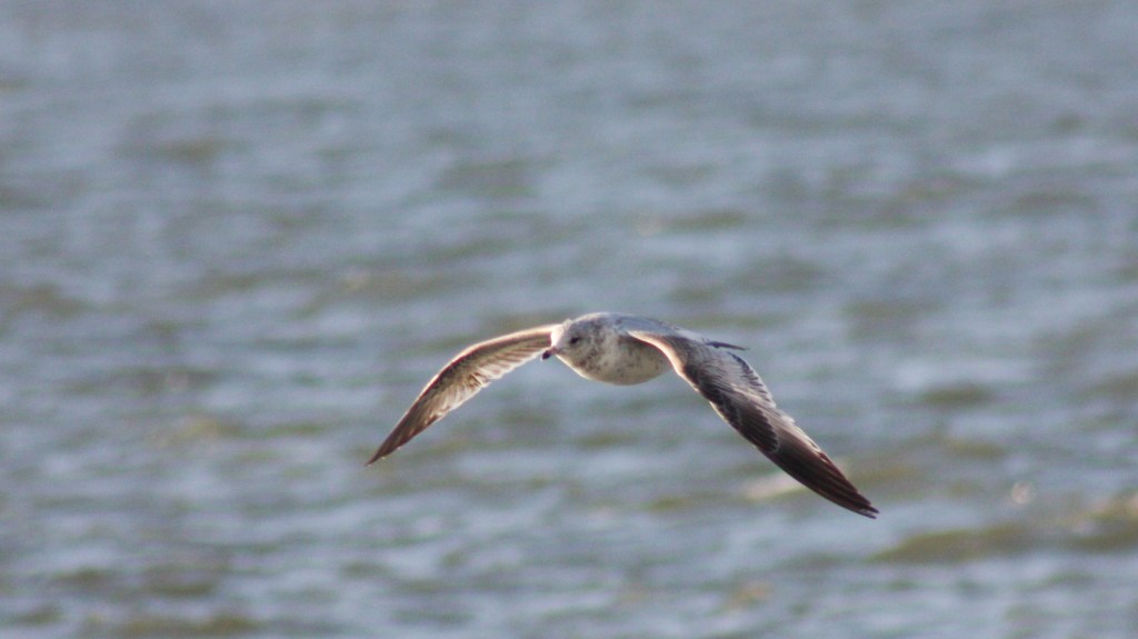 Flying through April