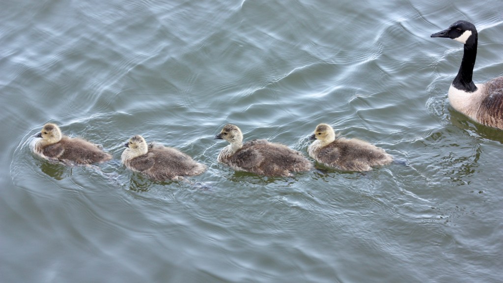 Cruising into summer