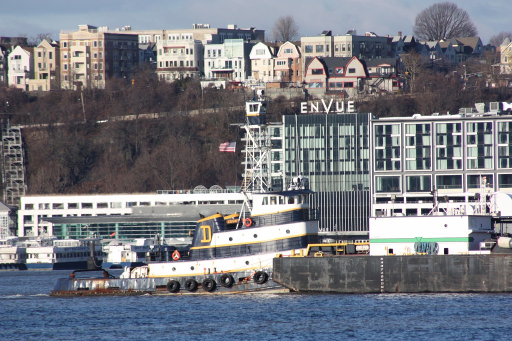 Saturday Feb 3–new or&nbsp;unusual