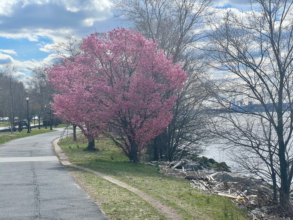 Tuesday March 19–exit&nbsp;winter